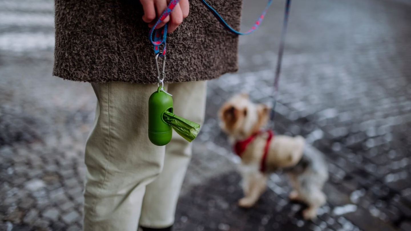 Biodegradable-dog-poop-bags.jpg